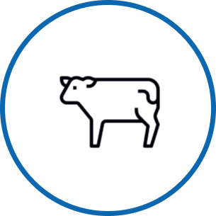 vaca azul