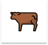 vaca